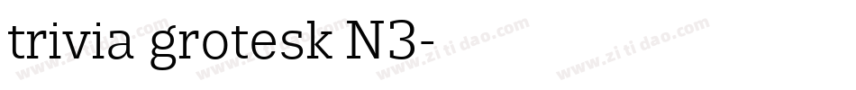 trivia grotesk N3字体转换